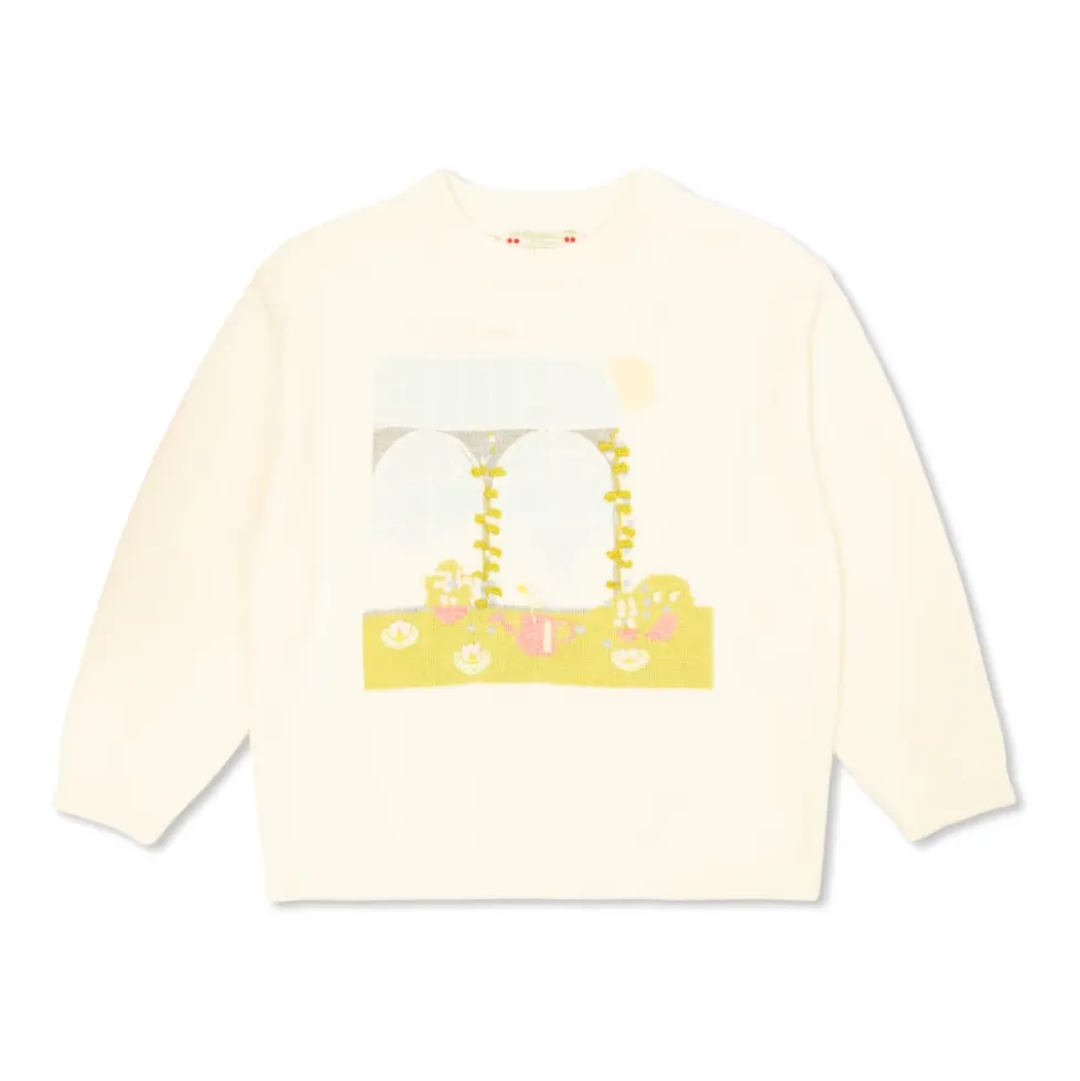 Anumati Sweater