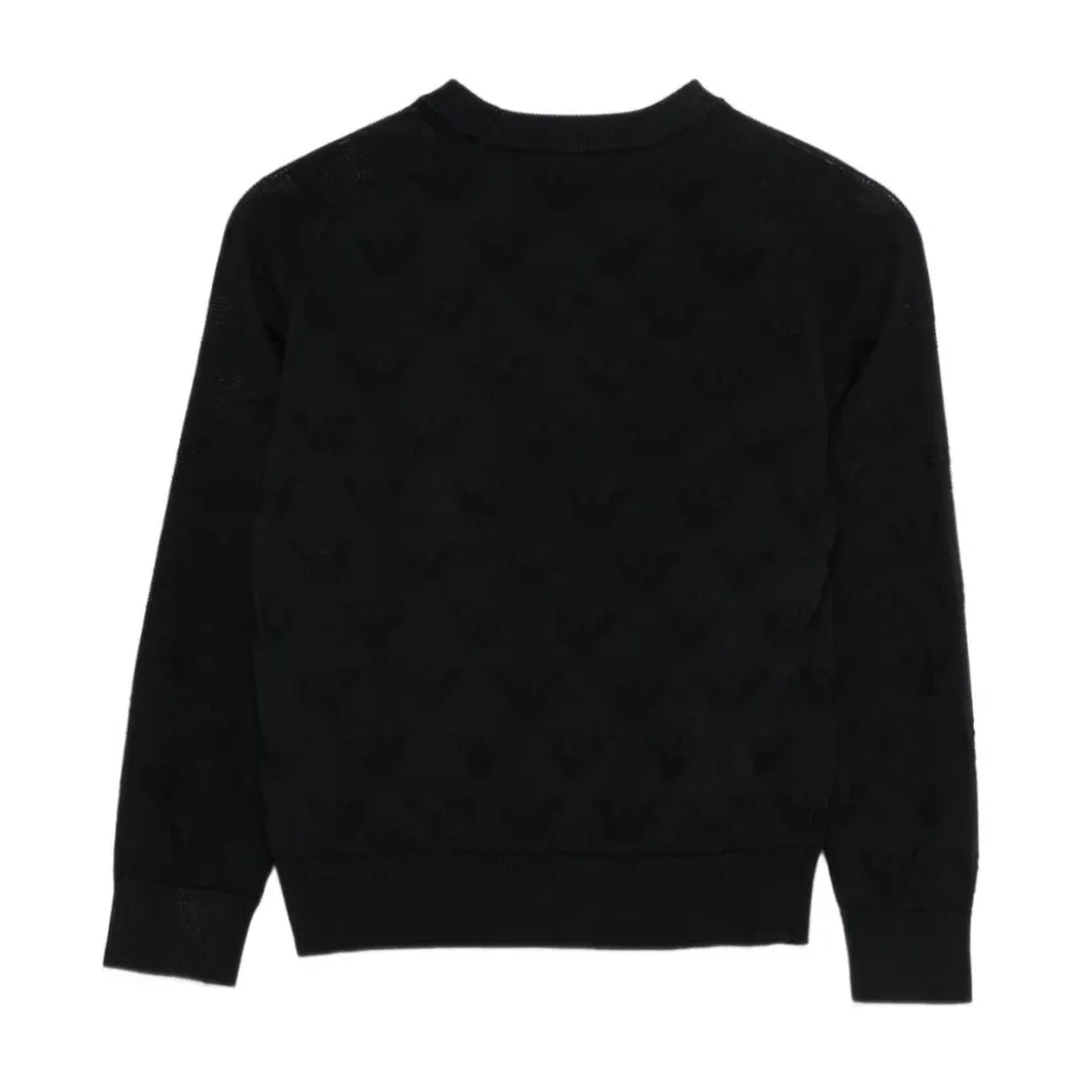 EMPORIO ARMANI Sweater NAVY