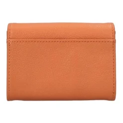 Foulonné PM Wallet