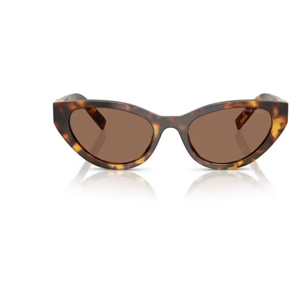 Sommerfugl Solbriller Brun Havana Blank
