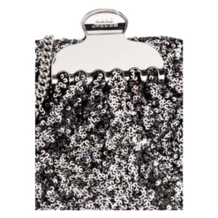 The Sequin Glam Small Clutch