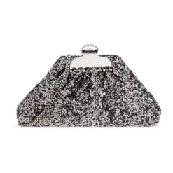 The Sequin Glam Small Clutch